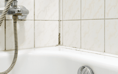 How to Stop Mould, Mildew, and Damp in Your Bathroom