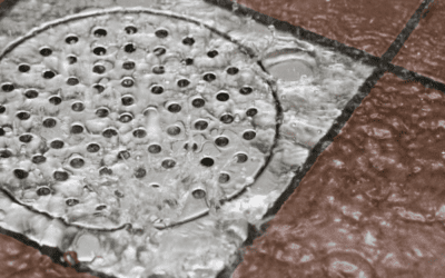 What are the Long-Term Effects of a Blocked Drain?