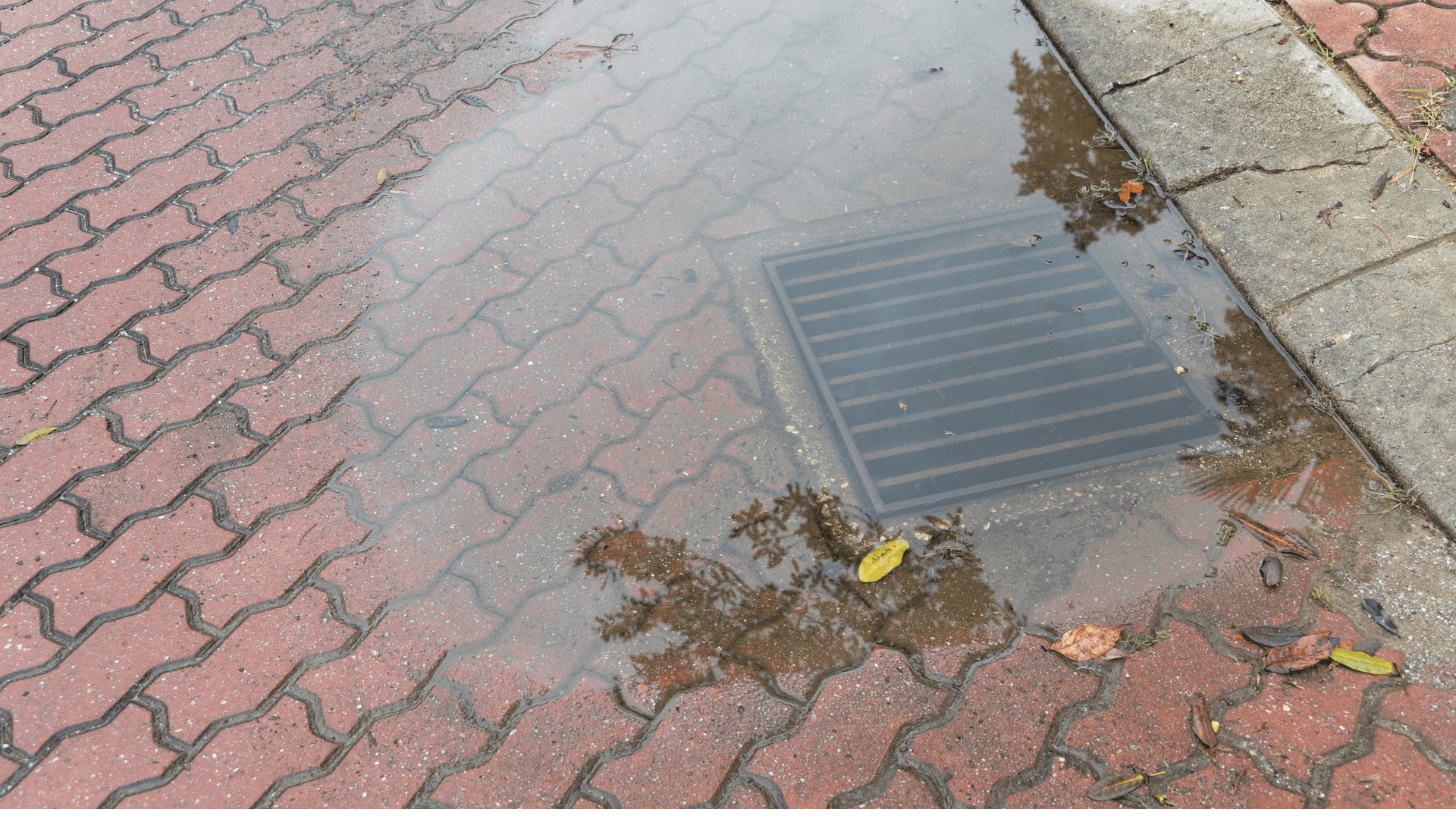Emergency Plumber Perth - 24/7 Help 6 Stormwater drainage